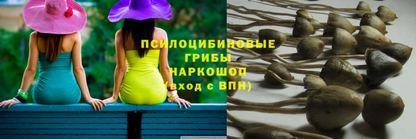 альфа пвп Краснослободск
