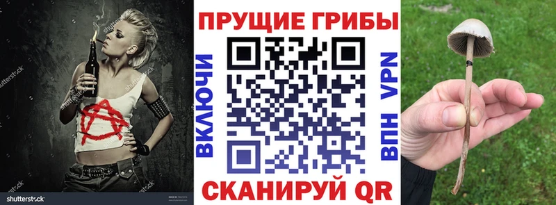 Псилоцибиновые грибы GOLDEN TEACHER  Ржев 